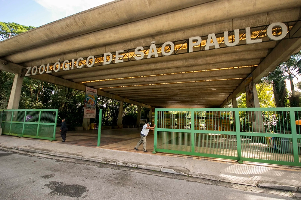 Os 5 melhores zoológicos do Brasil Zoológico de São Paulo