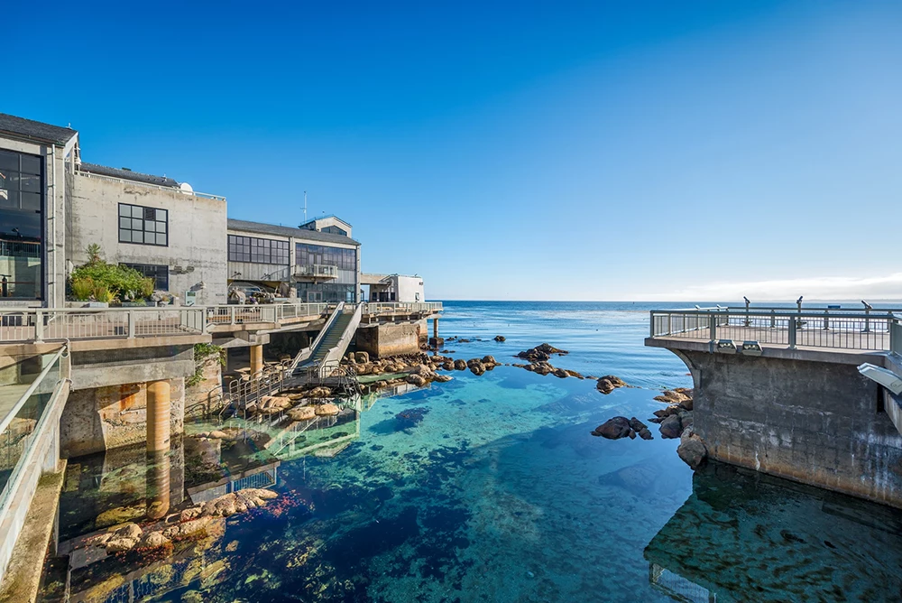 Aquários: Conheça os 6 melhores do mundo Monterey Bay Aquarium, Monterey, EUA