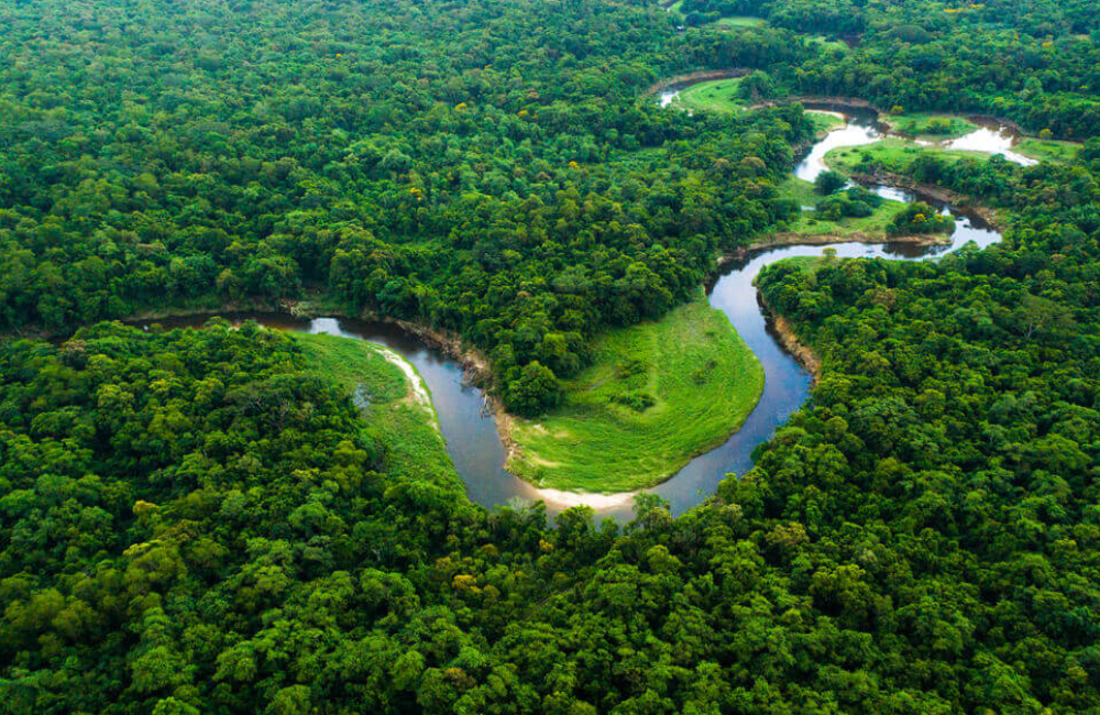 1.Amazônia, Brasil